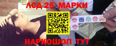гидропоника Будённовск
