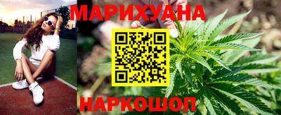 гидропоника Будённовск
