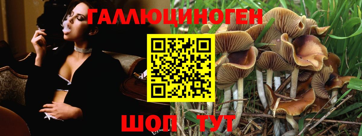 Галлюциногенные грибы Cubensis  Вход с VPN  Печора 